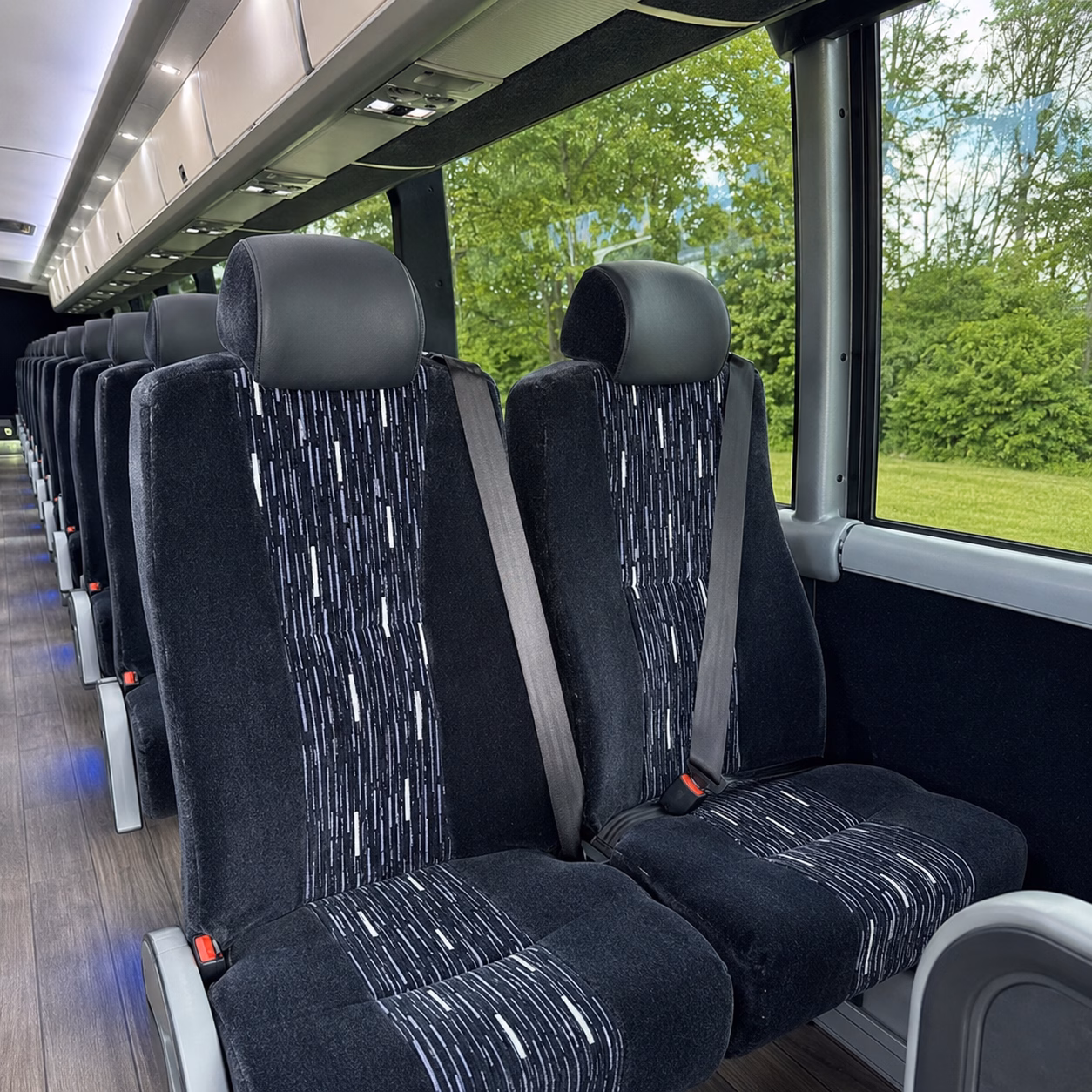 compare bus rental options in el cajon with one quick online quote